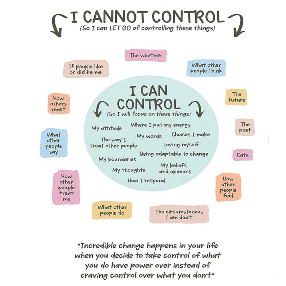 I Cannot Control & I Can Control Positive Affirmations Throw Pillow Cover